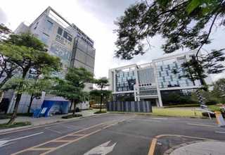 山東海綿采樣拭子全國發(fā)貨