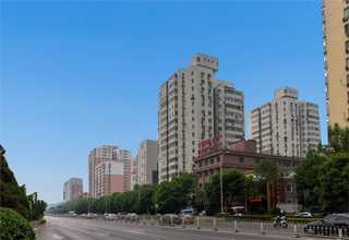 徐州紅美人直供